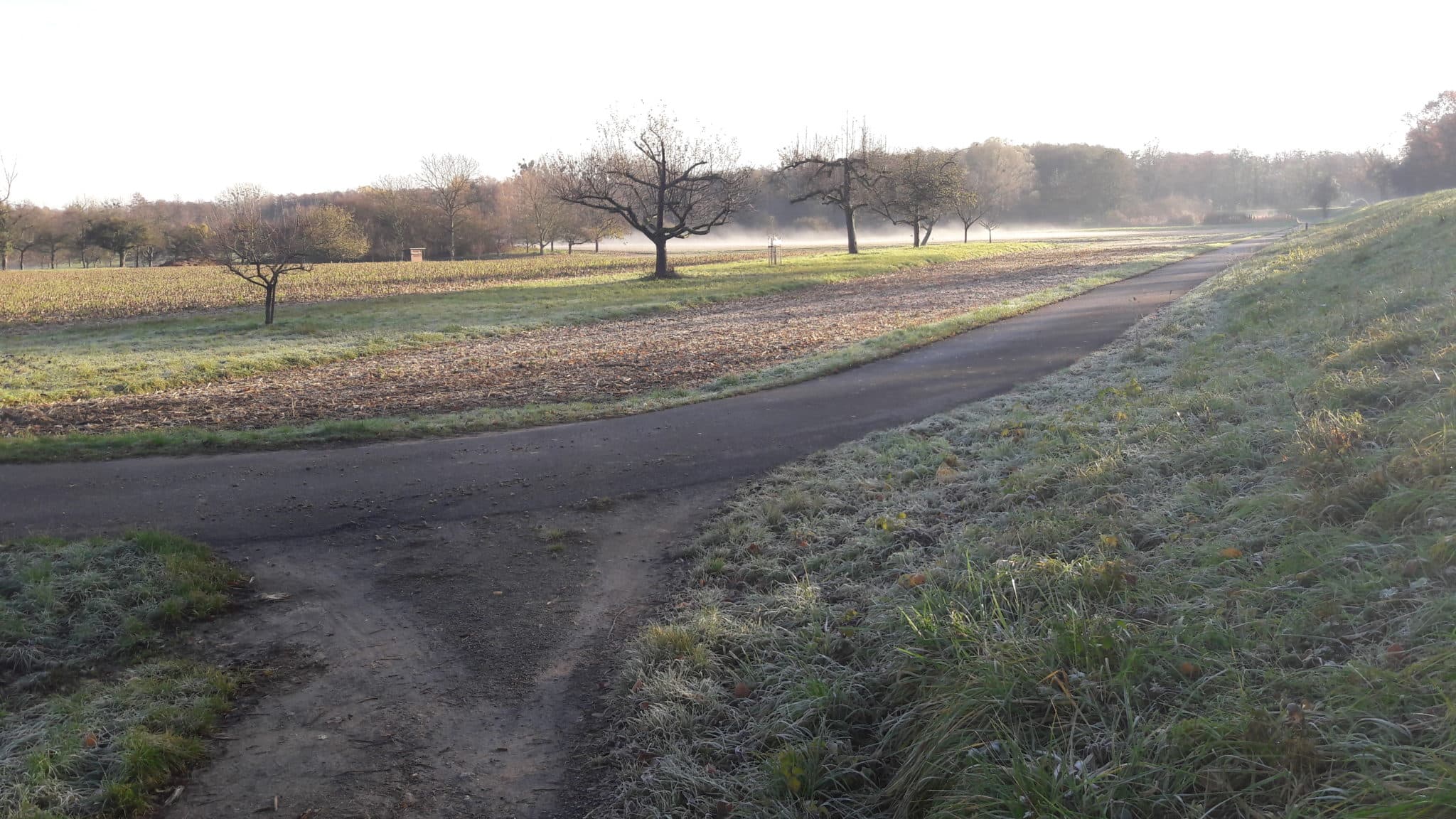 Vielfältige Landschaft