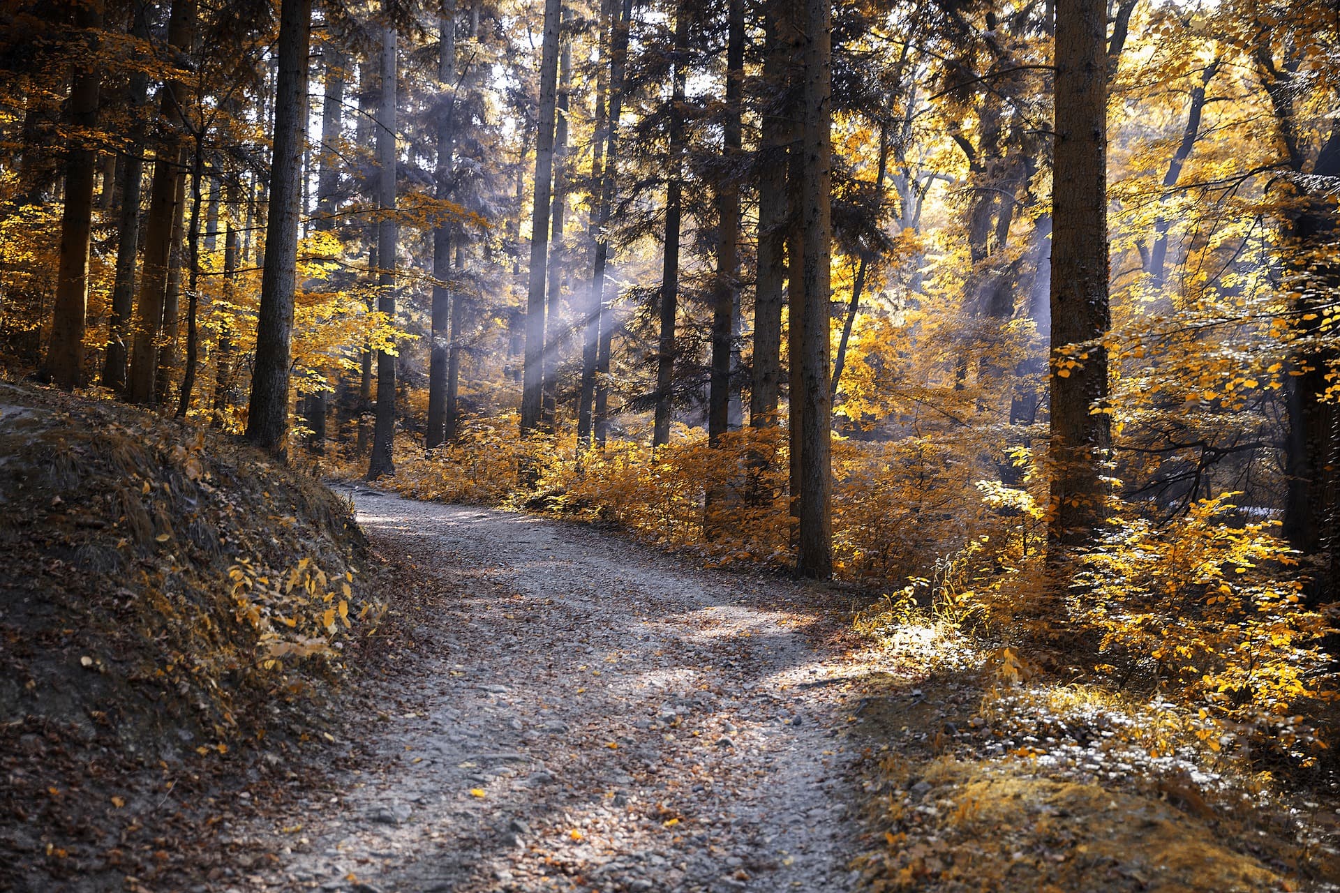 Herbstliche Landschaft