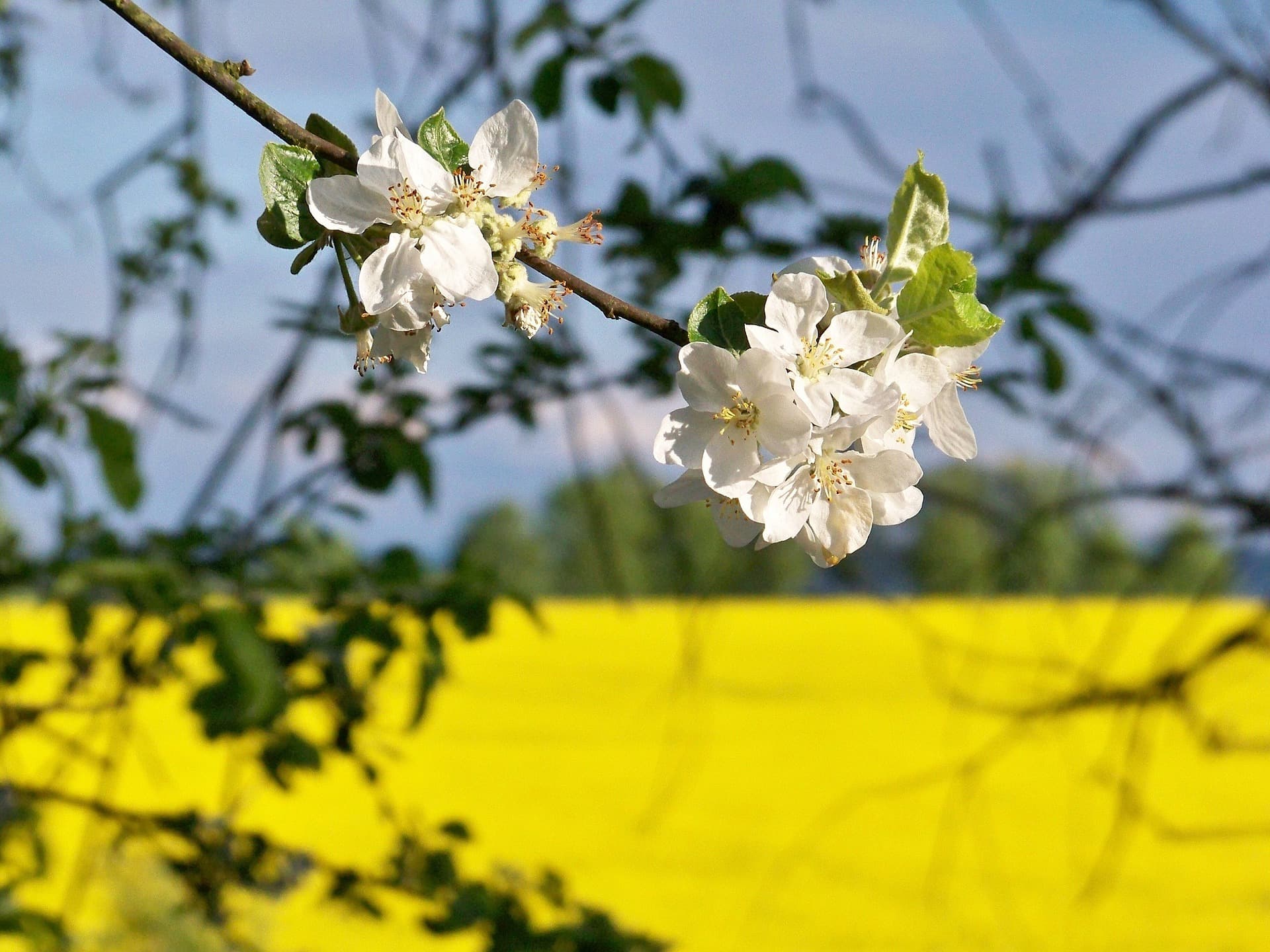 Natur entdecken