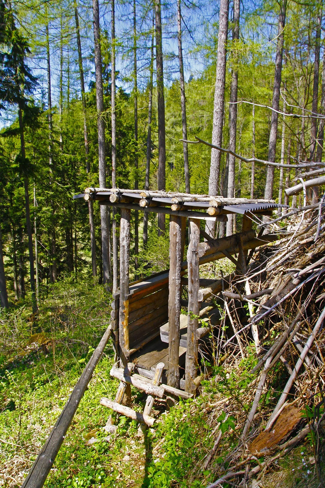 Holzbank im Wald