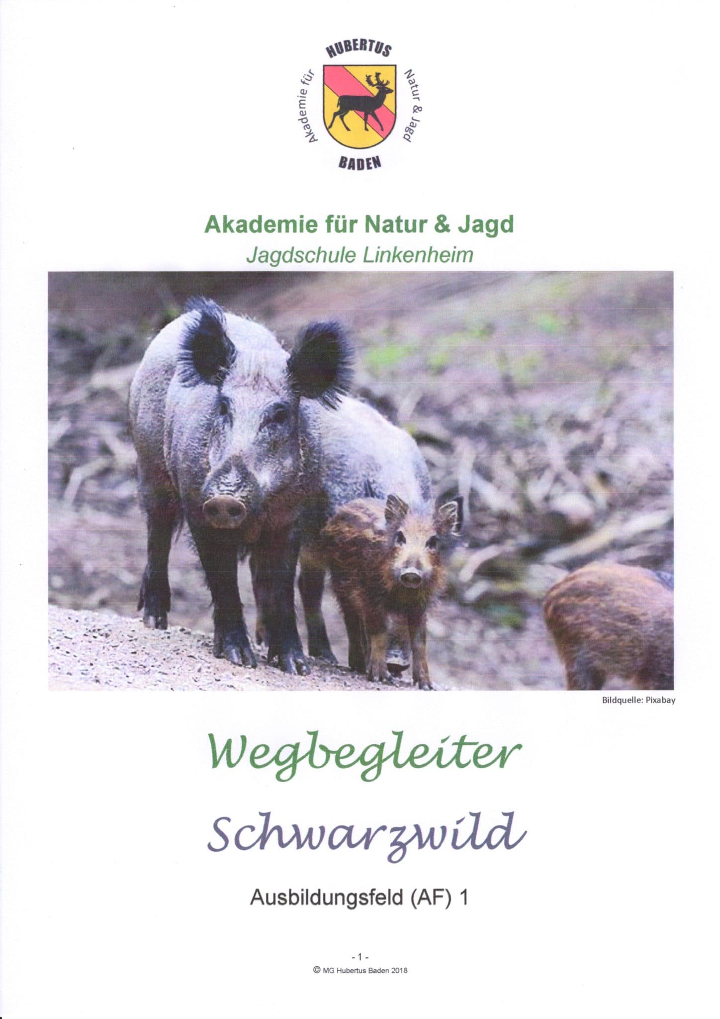 Wegbegleiter Beispiel 3