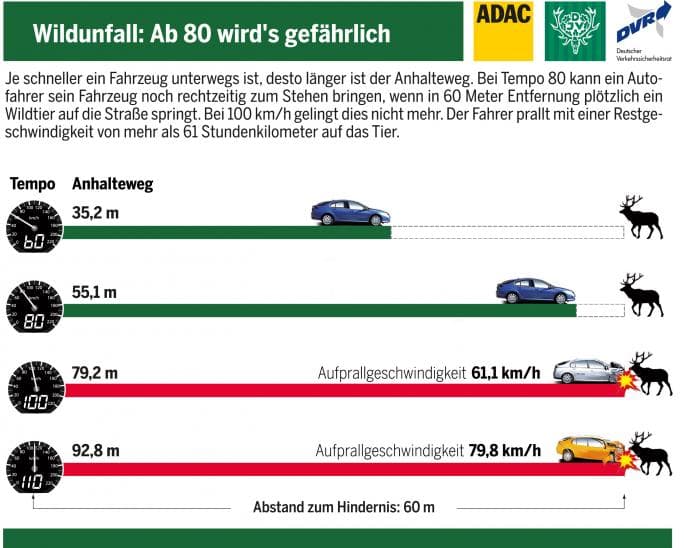 Bremswege von Autos
