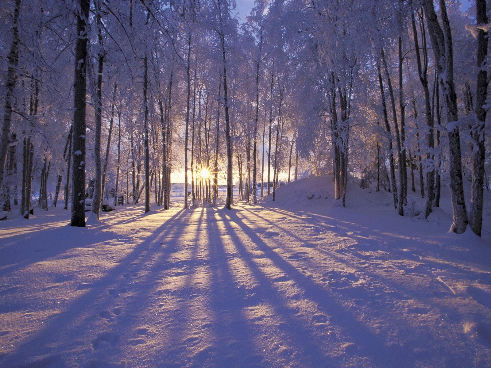 Winterszene